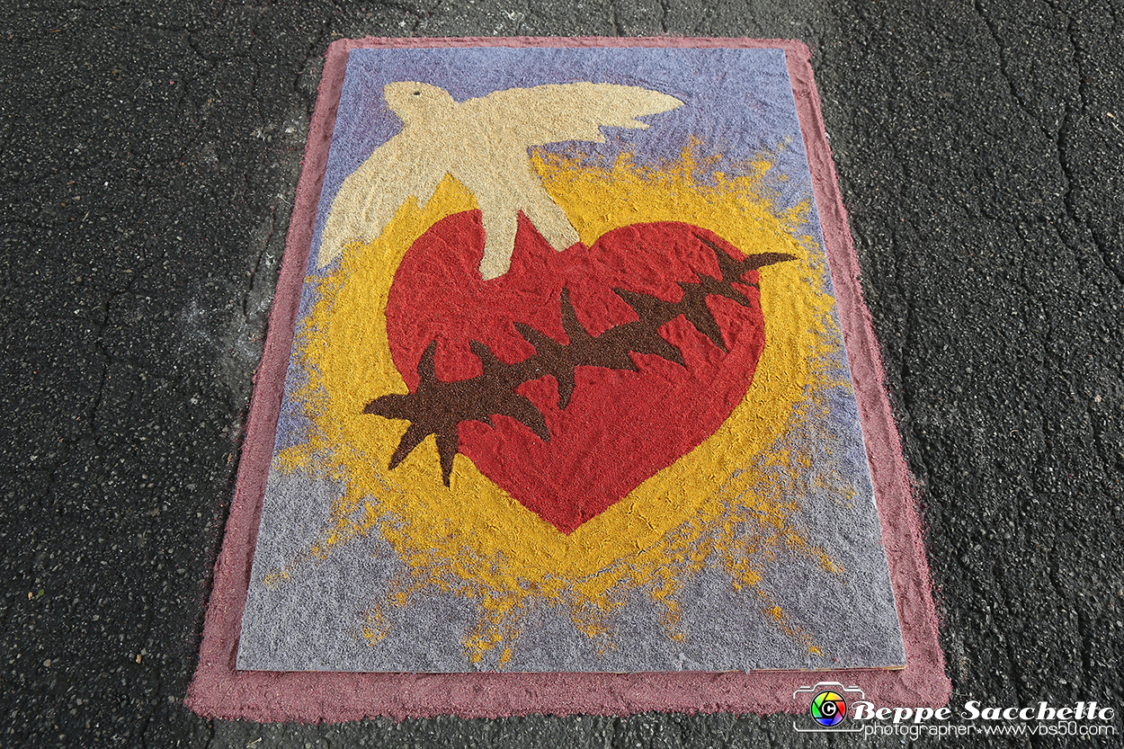 VBS_9599 - Infiorata di Villanova d'Asti 2023.jpg